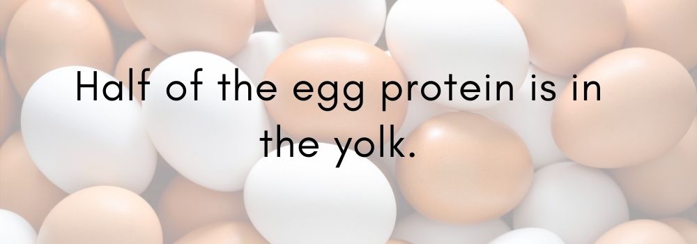 How much protein in an egg?